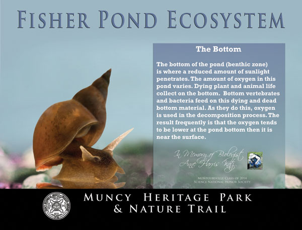 Muncy Heritage Park and Nature Trail